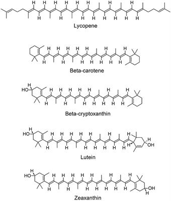 Lycopene and Vascular Health